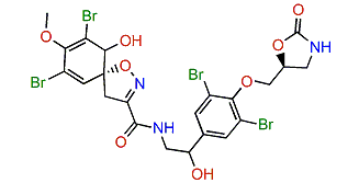 Fistularin 2